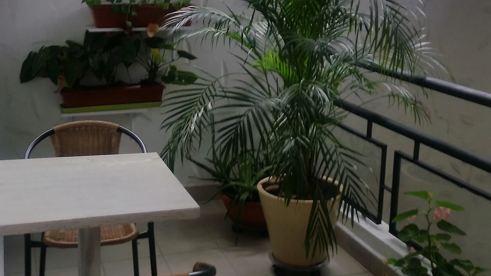 Hotel Quinta Avenida Medellín