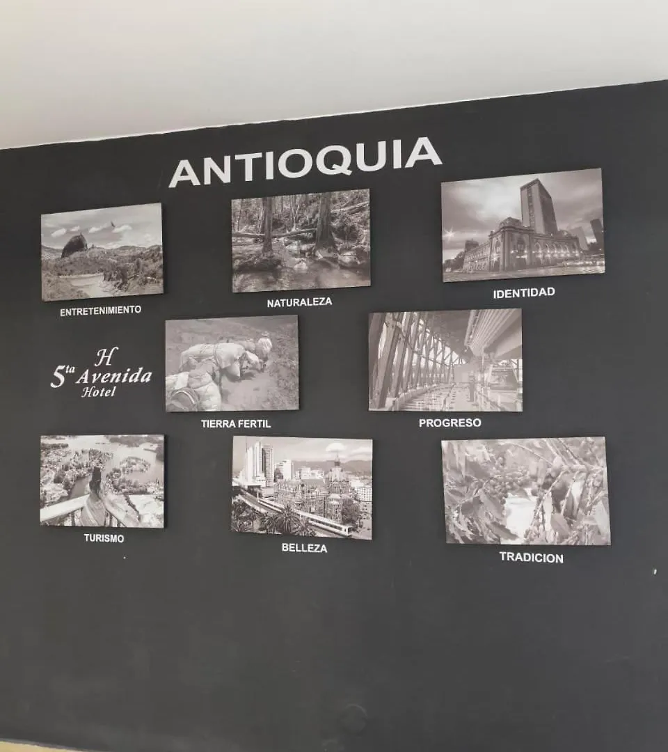 Hotel Quinta Avenida 메딜린 3*,
